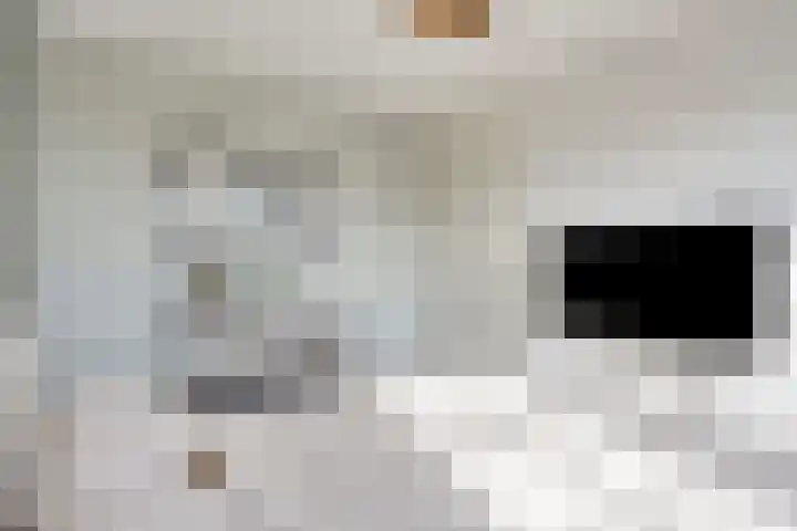 De Deel 1 Biddinghuizen thumbnail 25