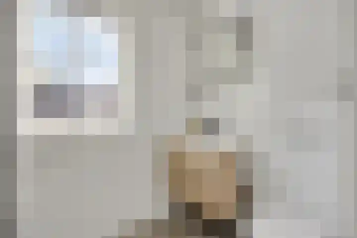 De Deel 1 Biddinghuizen thumbnail 27
