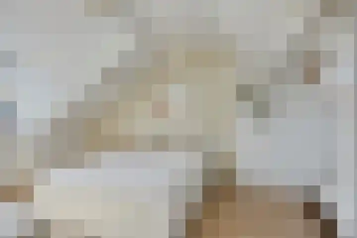De Deel 1 Biddinghuizen thumbnail 33