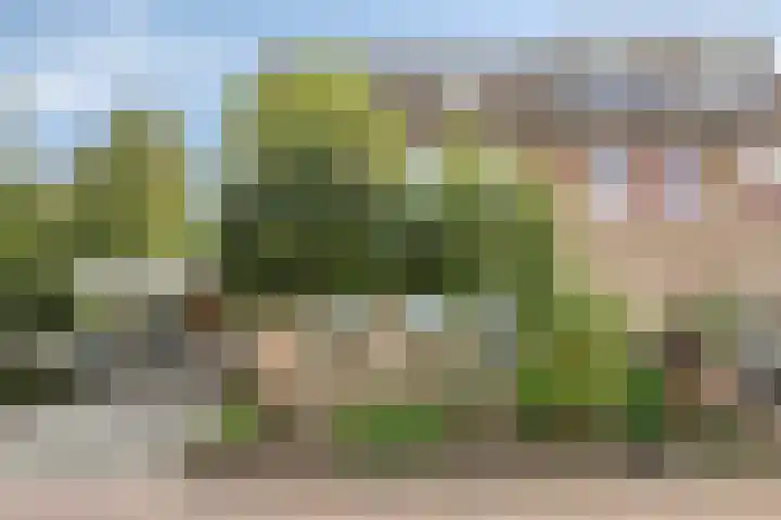 De Deel 1 Biddinghuizen thumbnail 4