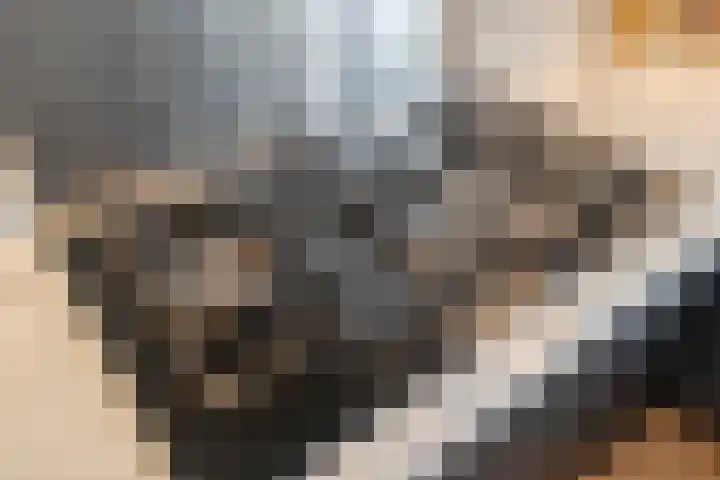 de Deel 102 Raalte thumbnail 14