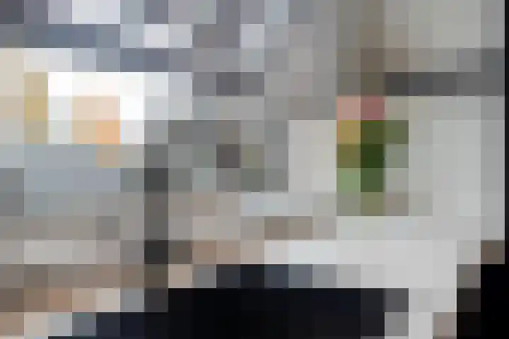 de Deel 102 Raalte thumbnail 15