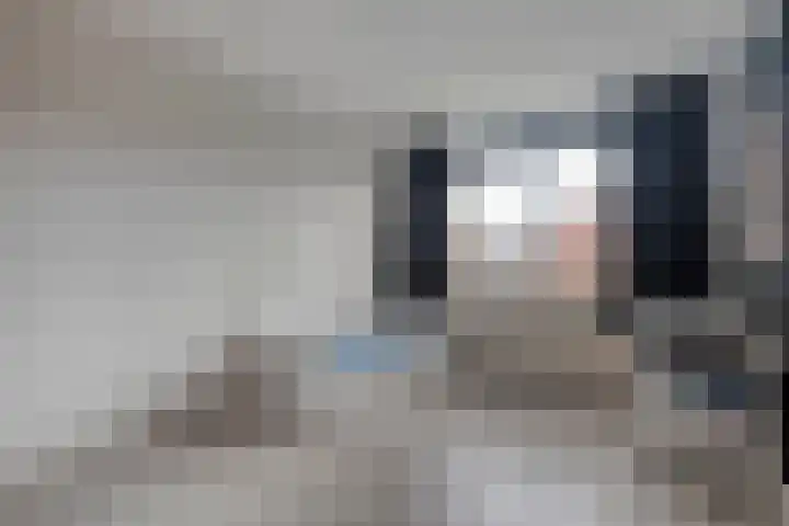 de Deel 102 Raalte thumbnail 24