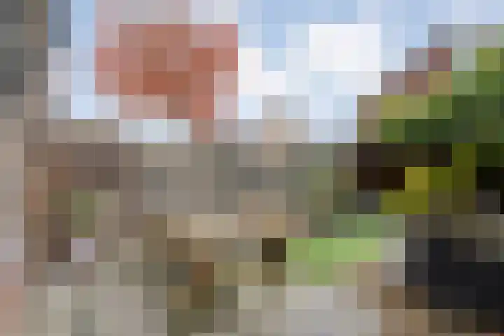 de Deel 102 Raalte thumbnail 32