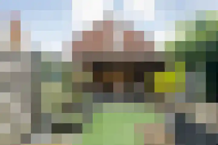 de Deel 102 Raalte thumbnail 34