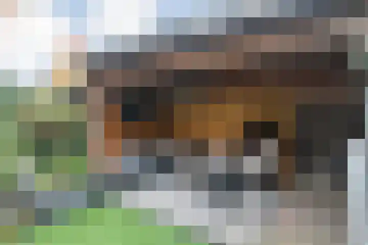 de Deel 102 Raalte thumbnail 35