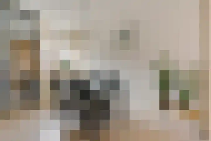 De Deel 11 Klijndijk thumbnail 13
