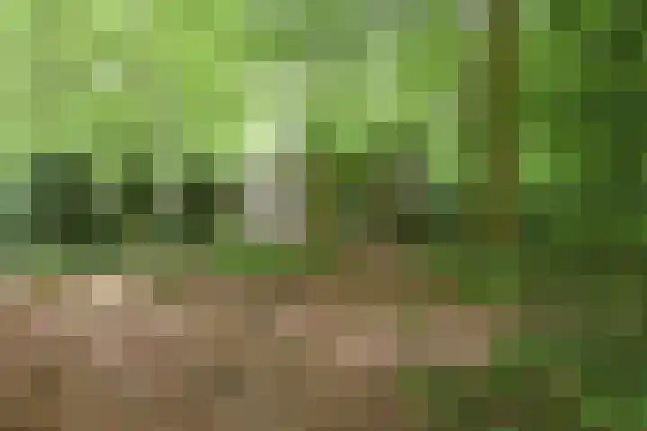 De Deel 14 Klijndijk thumbnail 17