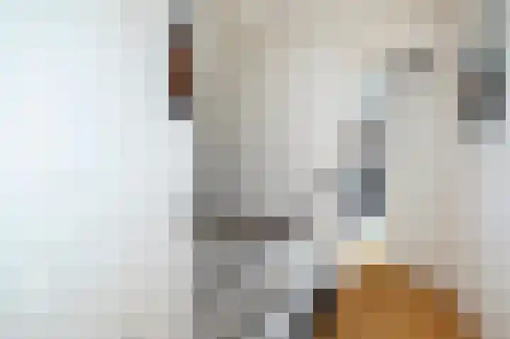 De Deel 14 Klijndijk thumbnail 27