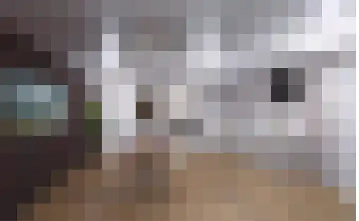 de Deel 23 02 Emmeloord thumbnail 16