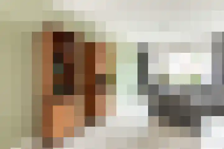 De Deel 4 Biddinghuizen thumbnail 11