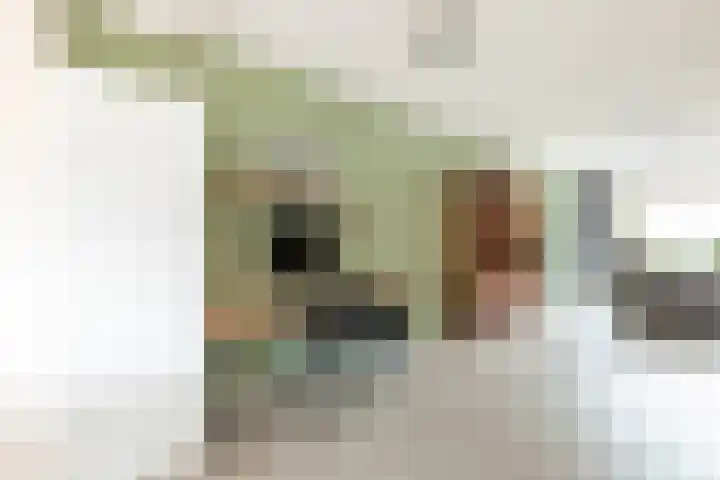 De Deel 4 Biddinghuizen thumbnail 12