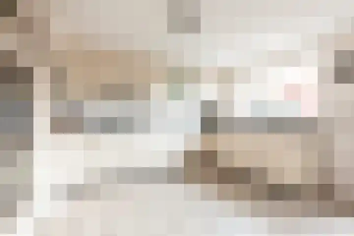 De Deel 4 Biddinghuizen thumbnail 19