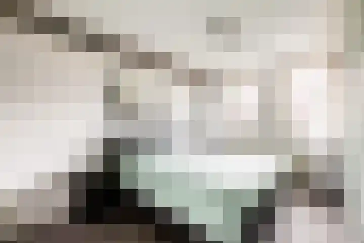 De Deel 4 Biddinghuizen thumbnail 24
