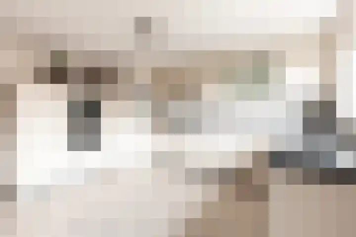 De Deel 4 Biddinghuizen foto 3