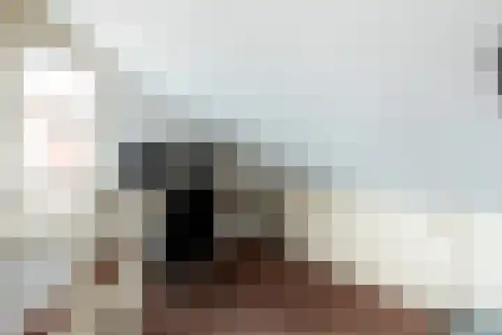 De Deel 4 Biddinghuizen thumbnail 30