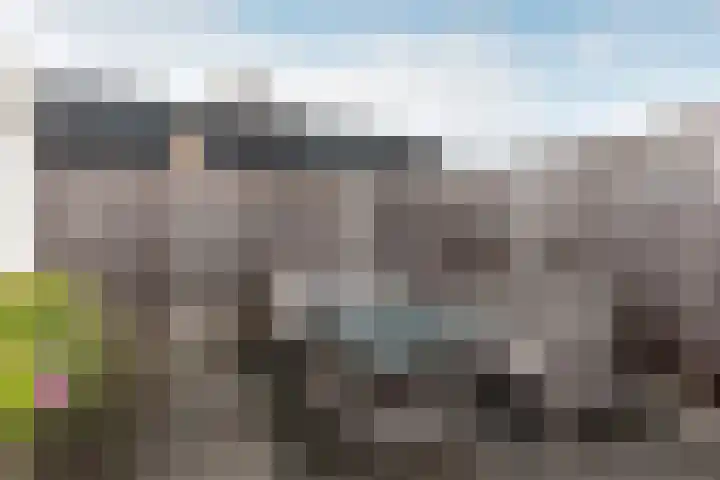 De Deel 4 Biddinghuizen thumbnail 40