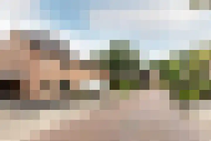De Deel 4 Biddinghuizen thumbnail 41