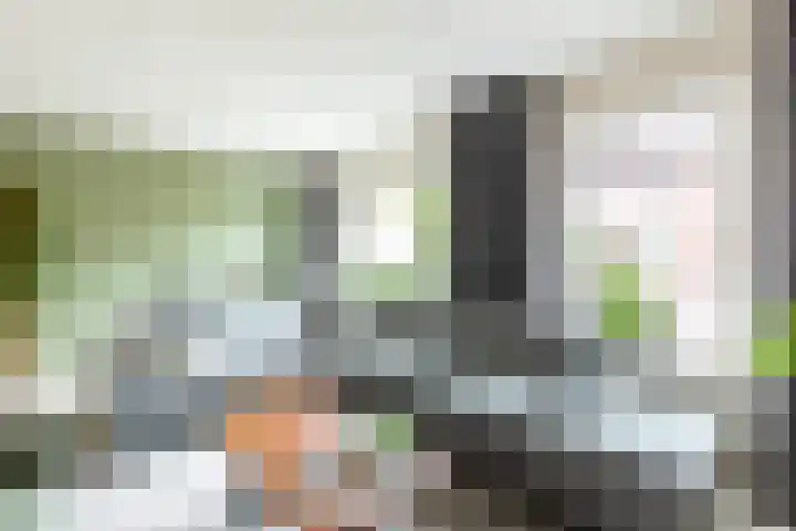 De Deel 4 Biddinghuizen thumbnail 8