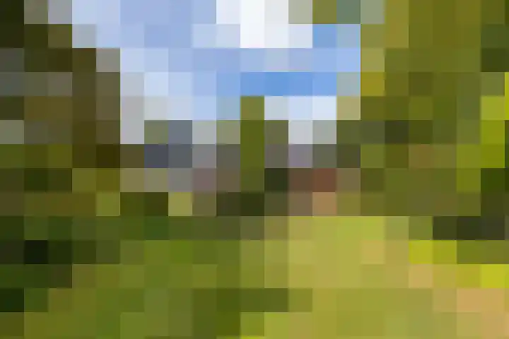 De Delle 64 Almelo foto 2