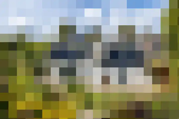 De Delle 64 Almelo thumbnail 24