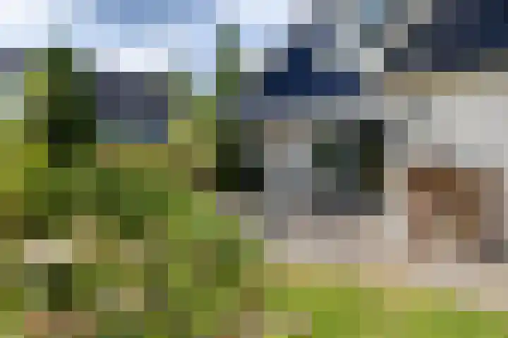 De Delle 64 Almelo thumbnail 25