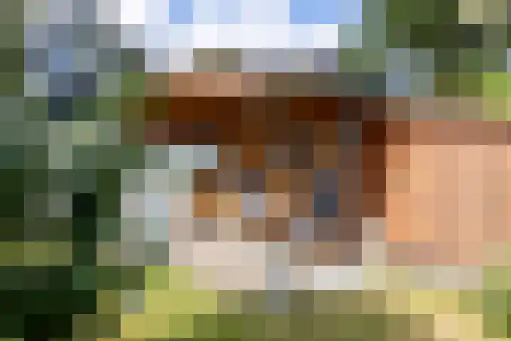De Delle 64 Almelo thumbnail 27