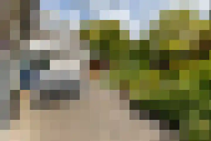 De Delle 64 Almelo thumbnail 28