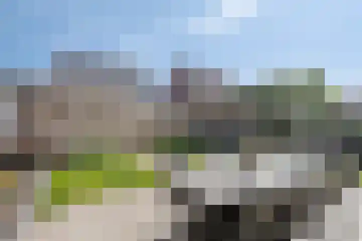 De Demkes 11 Vinkel thumbnail 12