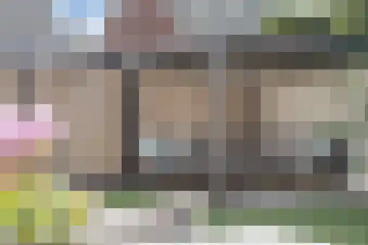 De Demkes 11 Vinkel thumbnail 15