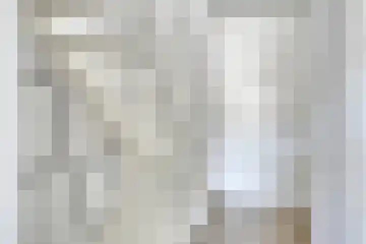 De Demkes 11 Vinkel thumbnail 18