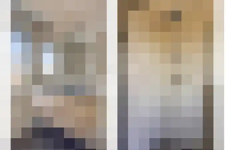 De Demkes 11 Vinkel thumbnail 24