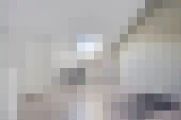De Demkes 11 Vinkel thumbnail 26