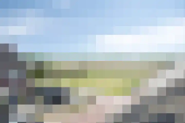 De Demkes 11 Vinkel thumbnail 27
