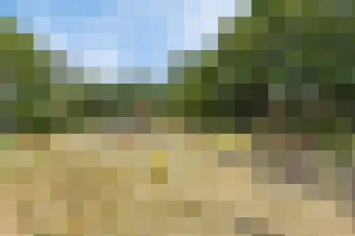 De Demkes 11 Vinkel thumbnail 30
