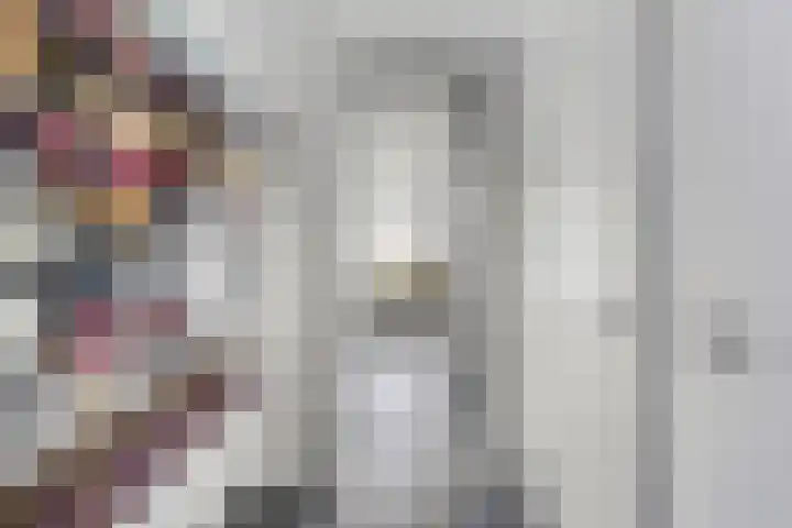 De Demkes 11 Vinkel thumbnail 4