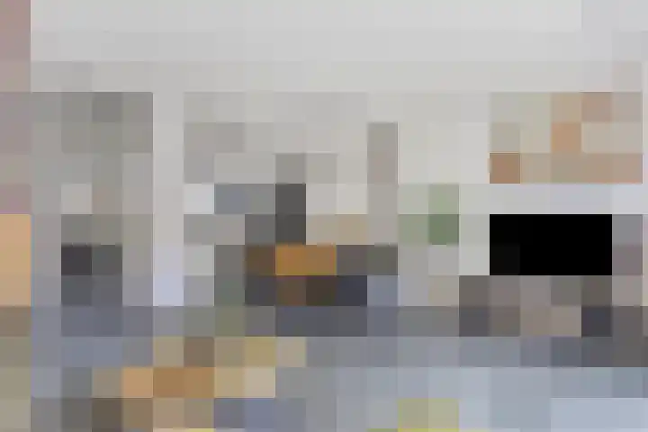 De Demkes 11 Vinkel thumbnail 6