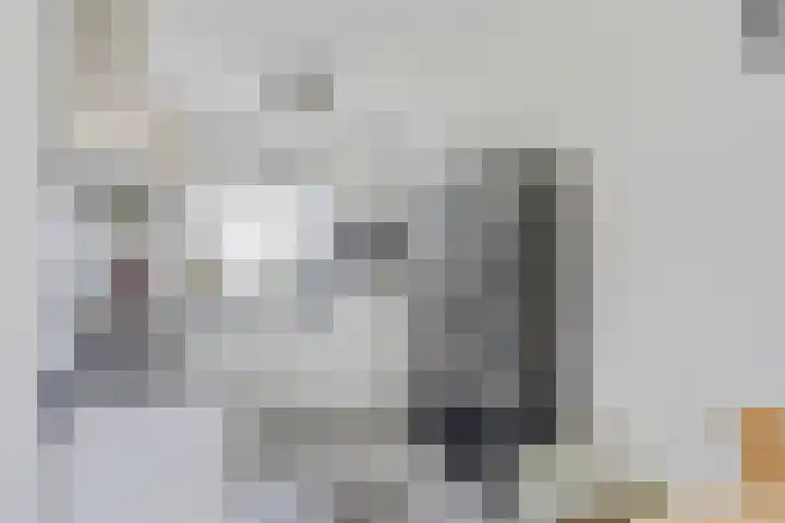 De Demkes 11 Vinkel thumbnail 7