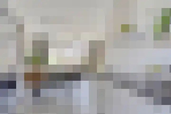 De Demkes 11 Vinkel thumbnail 9