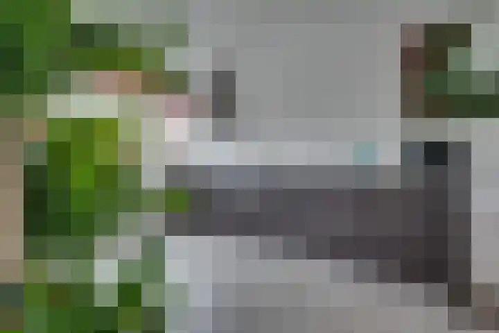 De Demkes 2 Vinkel thumbnail 11