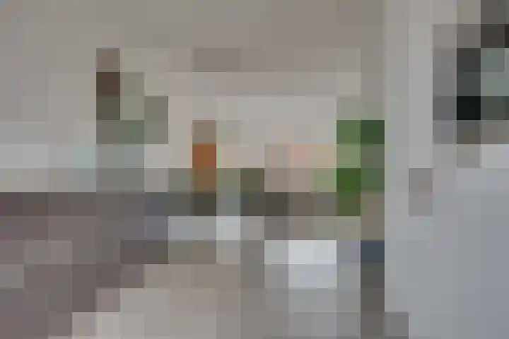 De Demkes 2 Vinkel thumbnail 13