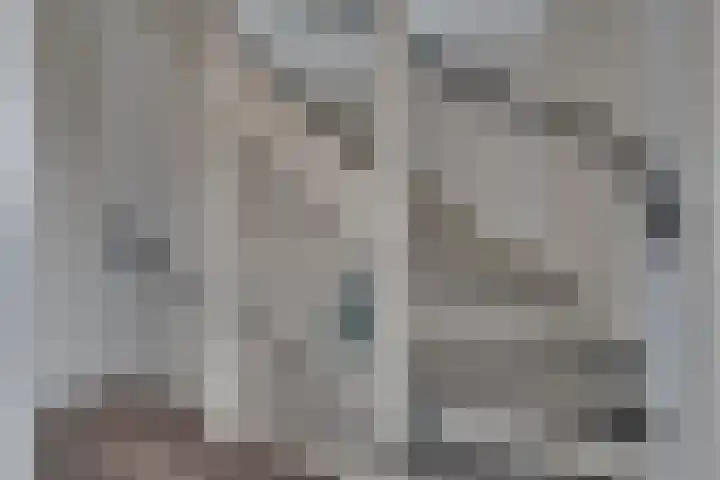 De Demkes 2 Vinkel thumbnail 15