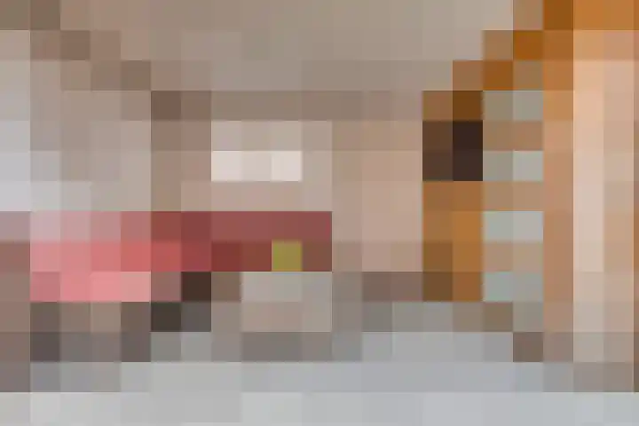 De Demkes 2 Vinkel thumbnail 26