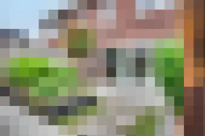 De Demkes 2 Vinkel thumbnail 28