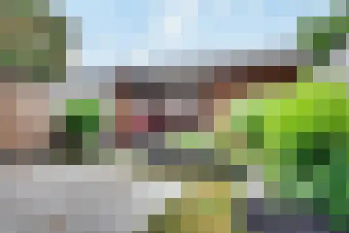 De Demkes 2 Vinkel thumbnail 4