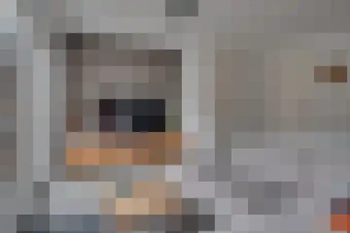 De Demkes 2 Vinkel thumbnail 9