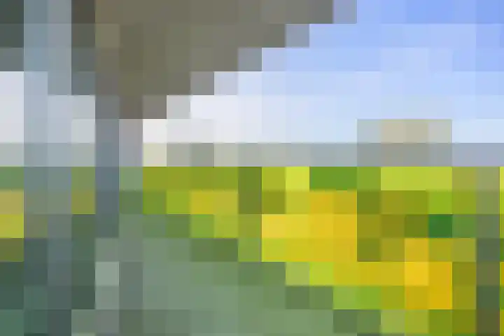 De Diagonaal 75 Almere thumbnail 4