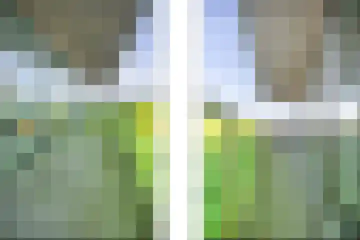 De Diagonaal 75 Almere thumbnail 9