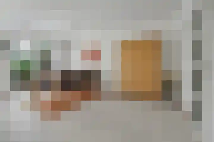 De Dieze 1 Goirle thumbnail 10