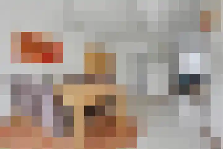 De Dieze 1 Goirle thumbnail 11